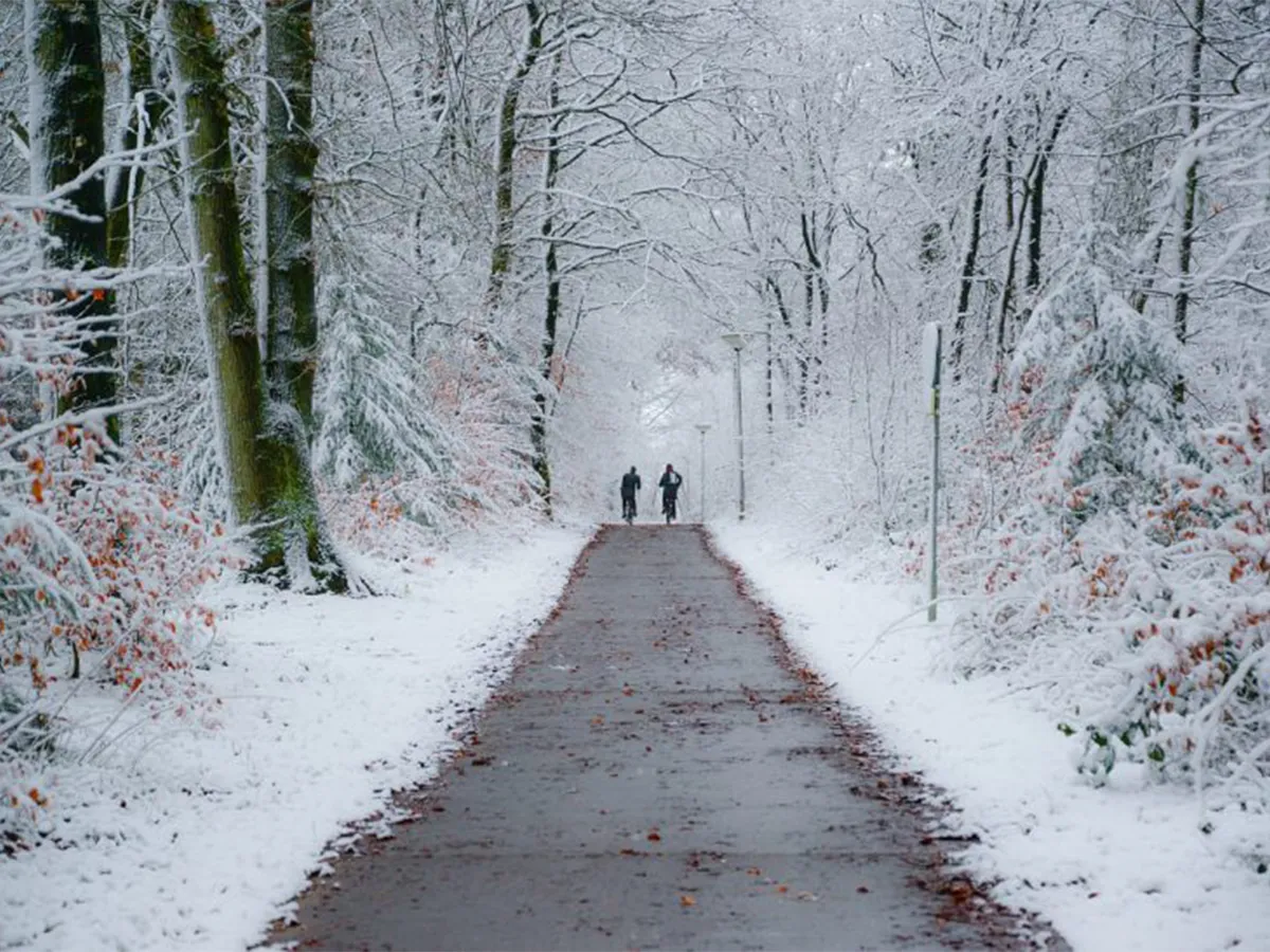 ebike_winterklaar-maken